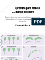 Hojas de Práctica para Manejo de Manga Pastelera