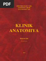 Koylakdagi jinsiy aloqa qizlar