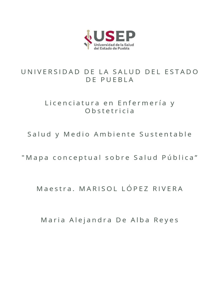 Mapa Conceptual de Salud Pública | PDF | Salud pública