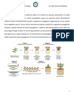 Micropropagation 4