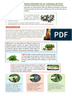 Plantas Medicinales