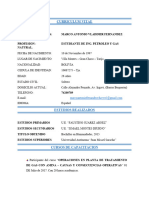 CURRICULUM VITAE Pasantia