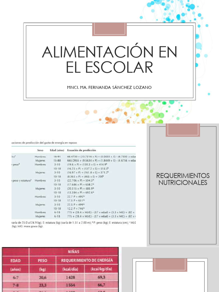 4 Alimentación En El Escolar 1 Pdf Lípido Dieta