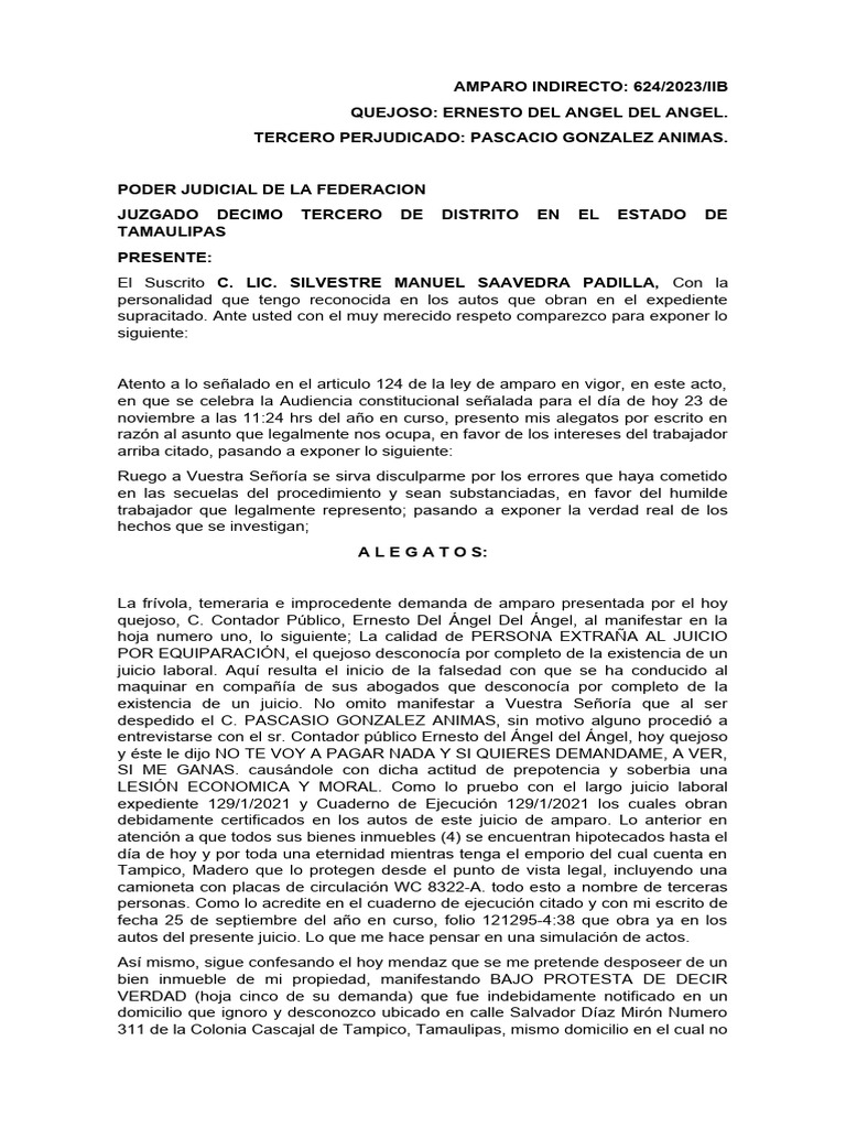 ALEGATOS EN JUICIO DE AMPARO INDIRECTO | PDF | Justicia | Crimen y ...