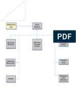 Estructura Organizacional