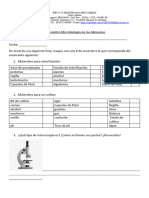 diagnostico microbiologia