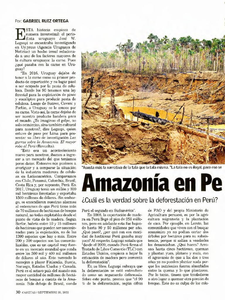 Amazonía en Peligro | PDF | Deforestación | Perú