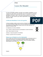 Leyes de Mendel