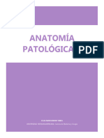 Apuntes Anatomía Patológica 2