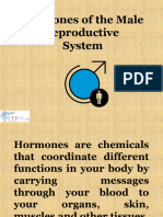 Male and Female Sex Hormones