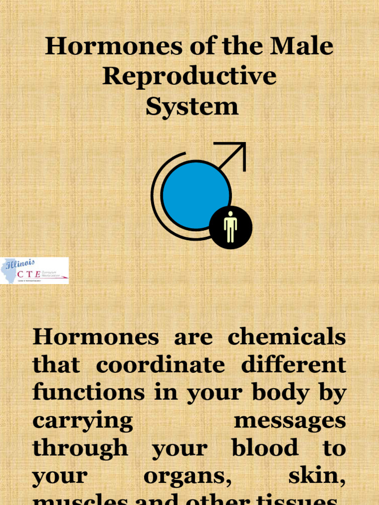 Male and Female Sex Hormones | Download Free PDF | Luteinizing Hormone ...