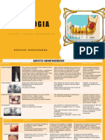 Quiste y Tumores Odonogenicos Trabajo Final