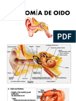 Anatomía de Oído