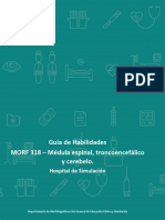 Guía de Habilidades MORF 318 - Médula Espinal, Troncoencefálico y Cerebelo