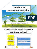 Economia Rural - Aula Agronegócio