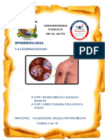 Leishmaniasis INFORME