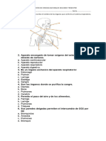 Evaluación de Ciencias Naturales Segundo Trimestre 4to PDF