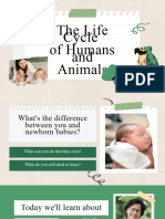 Life Cycles of Humans and Animals 