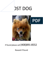 Lost Dog