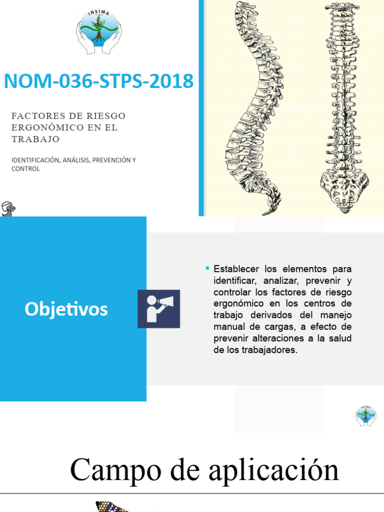 Norma 036 STPS 2018: Riesgos Ergonómicos | PDF | Factores humanos y ...