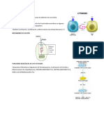 Funciones de Las Citocinas Completo 3