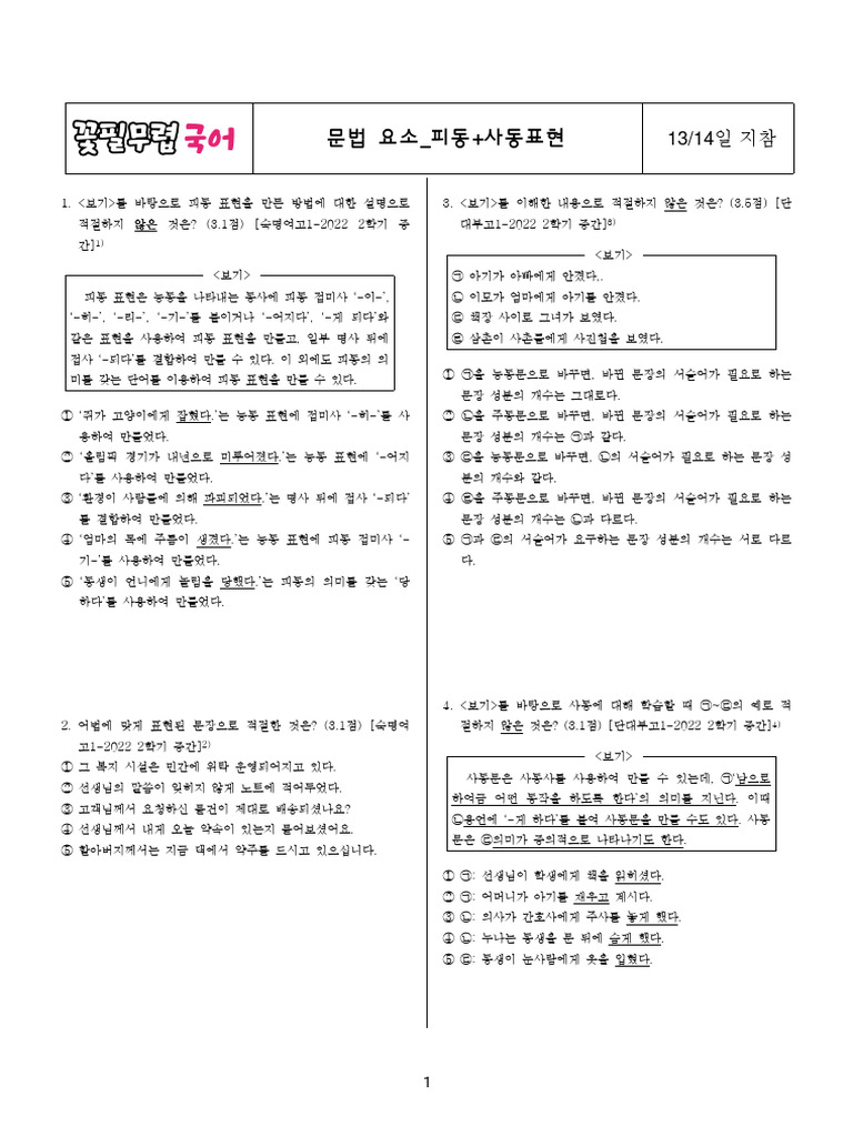 숙제) 피동사동인용표현 (대치동 기출문제) | PDF, image size:768x1024