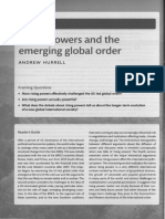 [DONE] [ANOTADO] Rising powers and the emerging global order - Andrew Hurrell