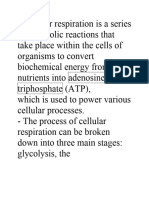 Cellular Respiration Is A Series of Metabolic Reactions That Take Place Within The Cells of