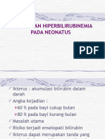 Ikterus Dan Hiperbilirubinemia Pada Neonatus