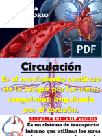 Sistema Circulatorio