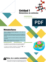 Unidad I METABOLISMO. Generalidades