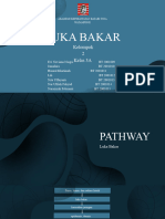 Pathway Luka Bakar