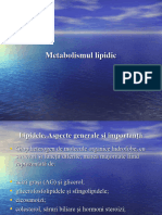 metabolismul-lipidic