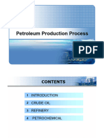 1.1 Petrochemical Industry Overview