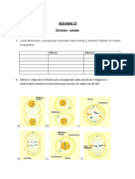 Actividad 12