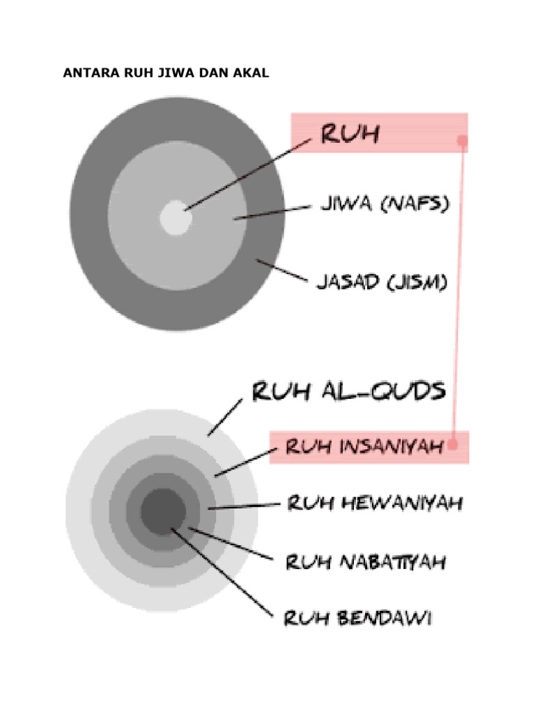 ANTARA RUH JIWA DAN AKAL SDH | PDF