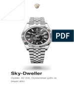 Sky-Dweller: Oyster, 42 MM, Oystersteel Çelik Ve Beyaz Altın