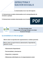 2.2. Estructura y Organización Social 2