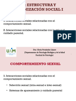 2.2 Estructura y Organización Social