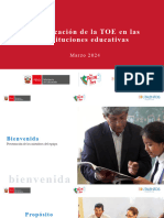 Planificación Toe en Iiee 07.03