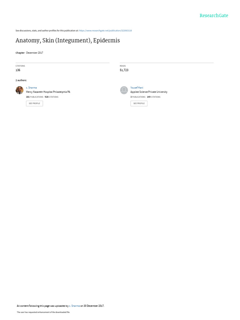 Anatomyskinepidermis Pdf Epidermis Skin
