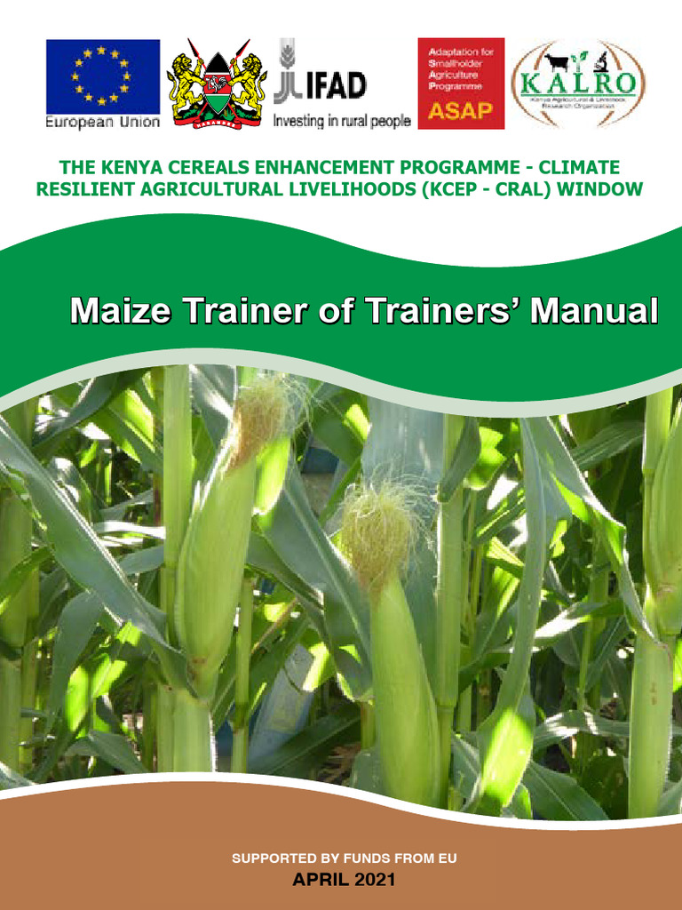 Maize Training Manual for Kenya | PDF