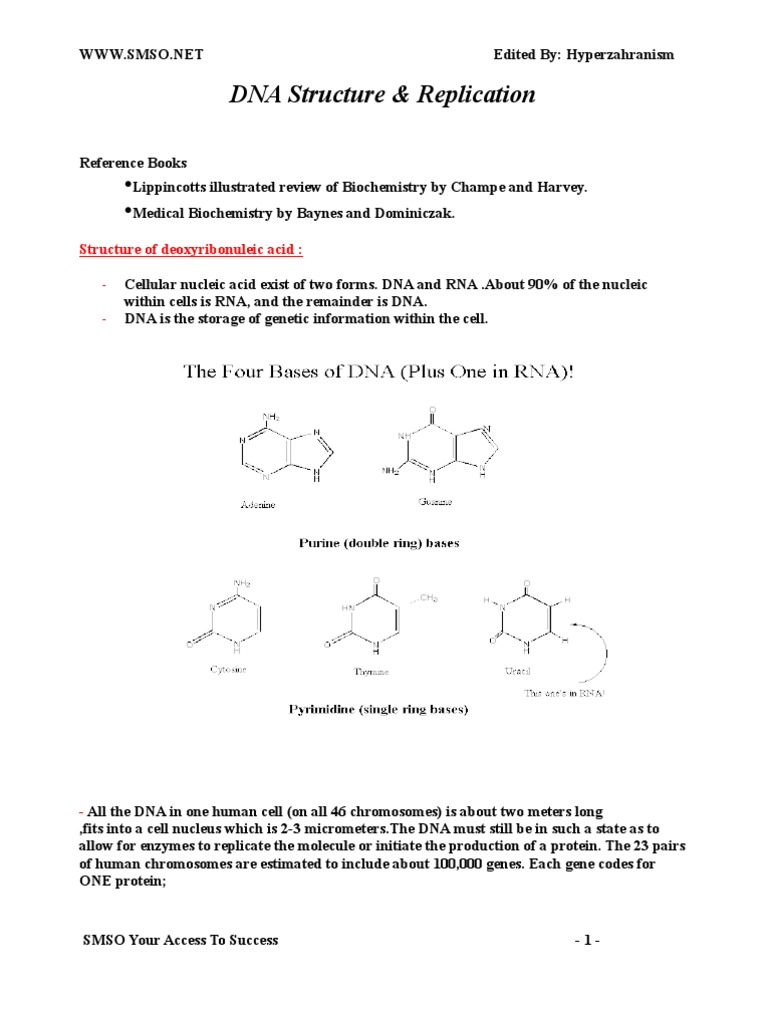 DNA Structure and Replication Overview | PDF | Dna Replication | Rna