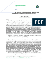 1 Adaptation de Cing Variétés de Patate Douce Ipomoea Batatas L. Sur Le Rendement Dans Les Conditions Agro Ecologique de Lukanga