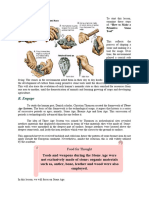 Lesson 3 - Cultural Evolution