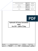 Hydraulic & Pumps Calculation-Rev00