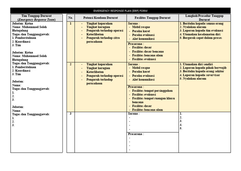 Form ERP | PDF