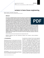 J Tissue Eng Regen Med - 2014 - Detsch - The Role of Osteoclasts in Bone Tissue Engineering