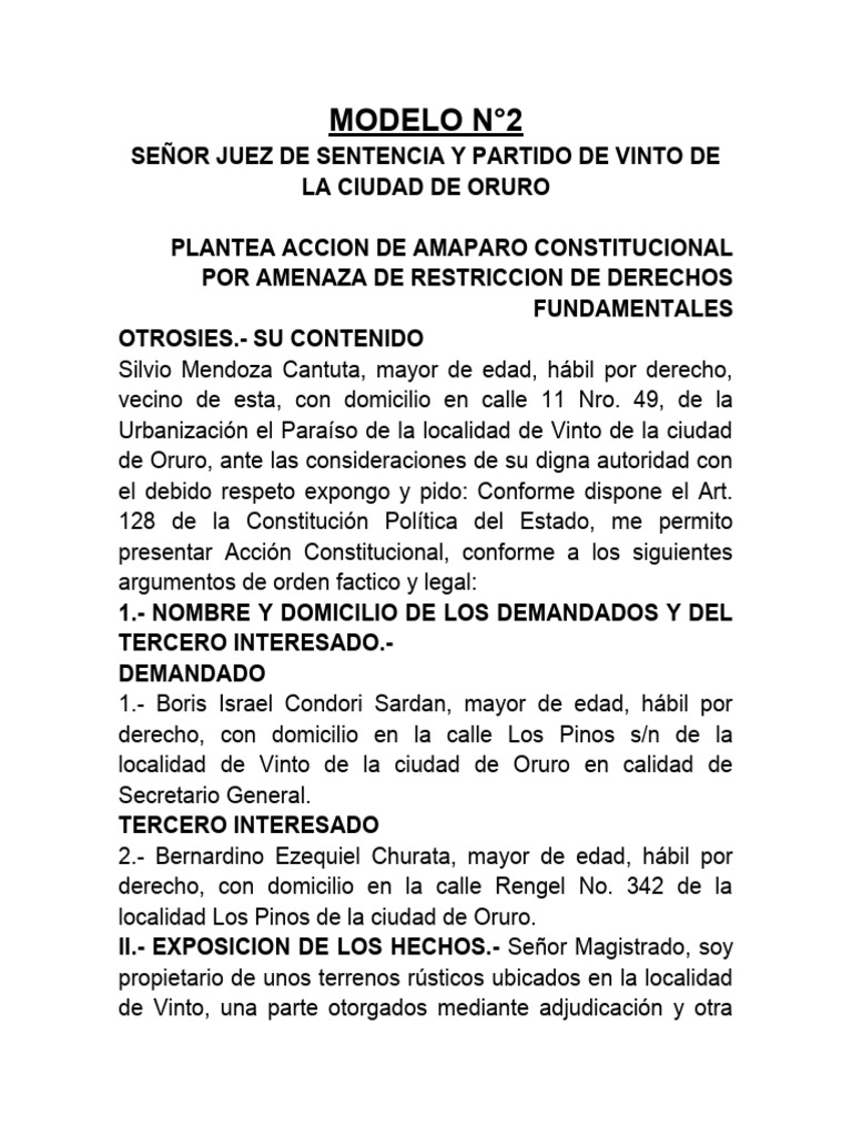 Modelo 2 Accion de Amparo Const. | PDF | Gobierno | Justicia