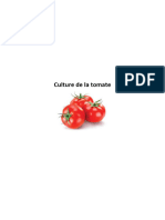 Culture de La Tomate